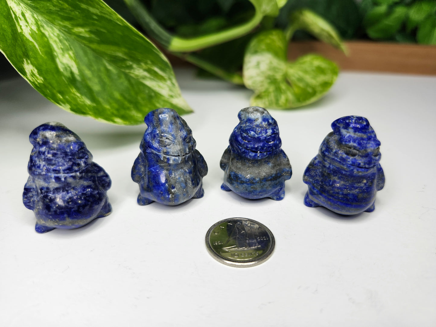 OOGIE BOOGIE LAPIS