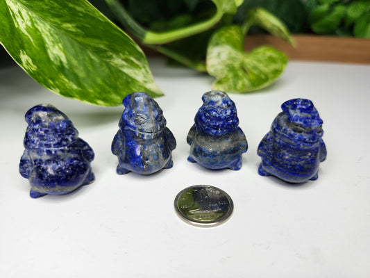 OOGIE BOOGIE LAPIS