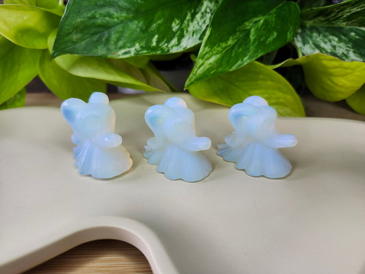 OPALITE ZERO DOG