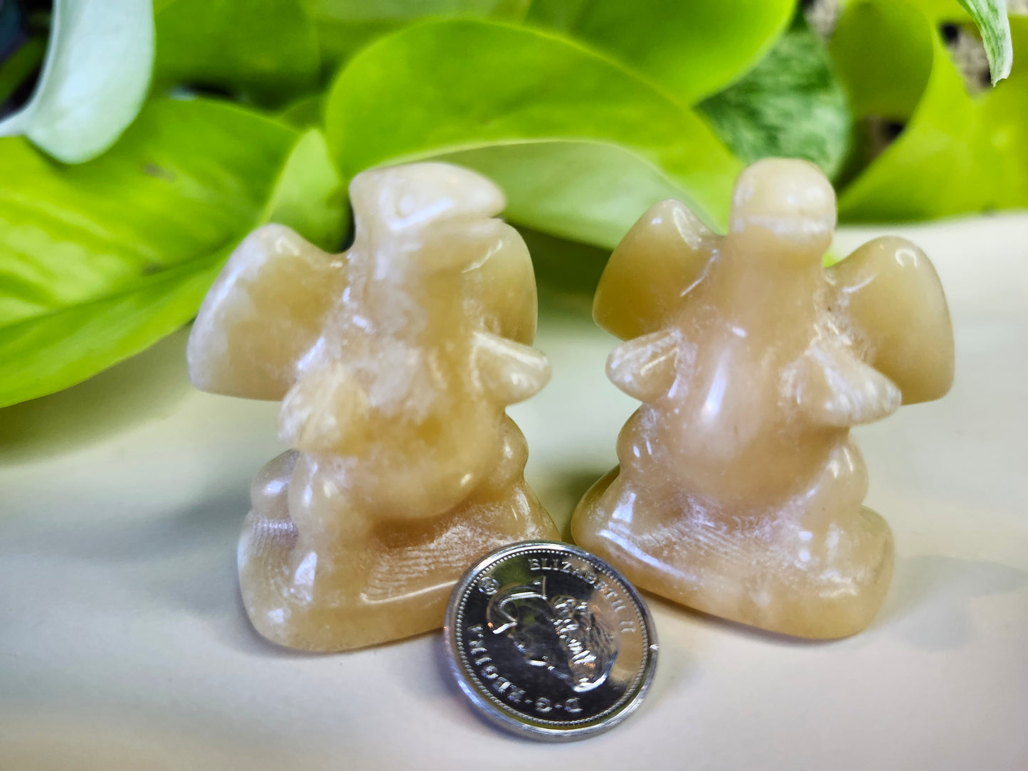 ORANGE  CALCITE  CHARIZARD