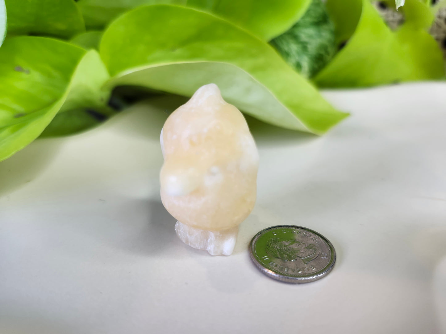 ORANGE CALCITE PSYDUCK