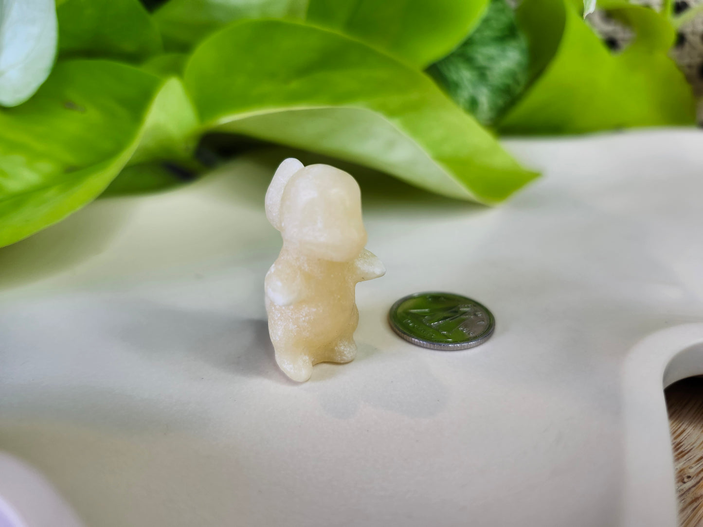 ORANGE CALCITE CHARMANDER