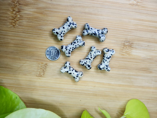 DALMATION JASPER BONE