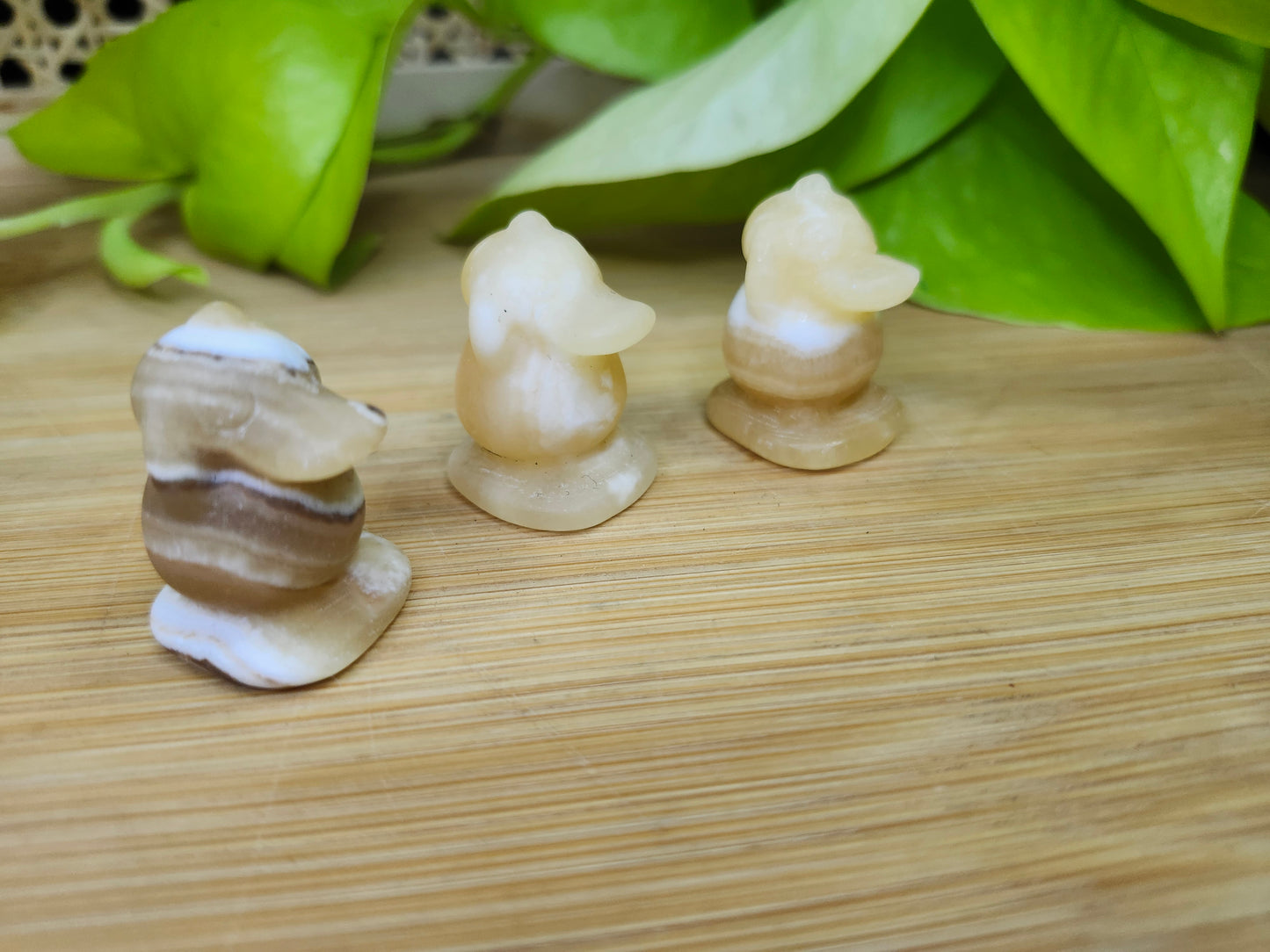 ORANGE CALCITE PSYDUCK