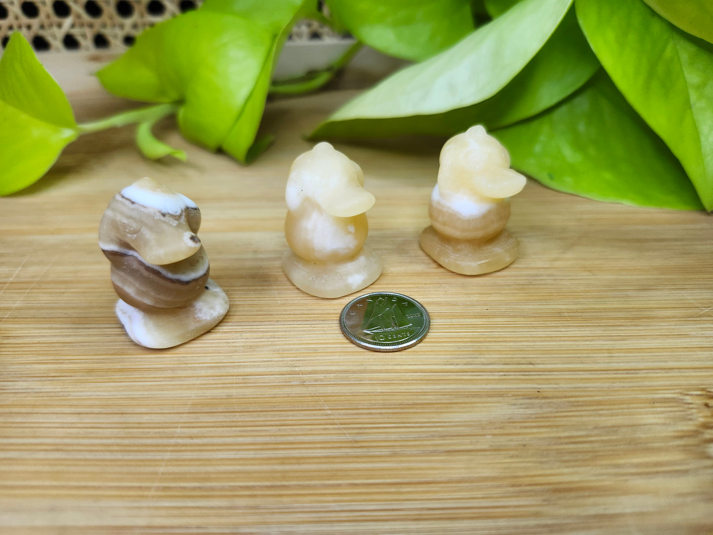 ORANGE CALCITE PSYDUCK