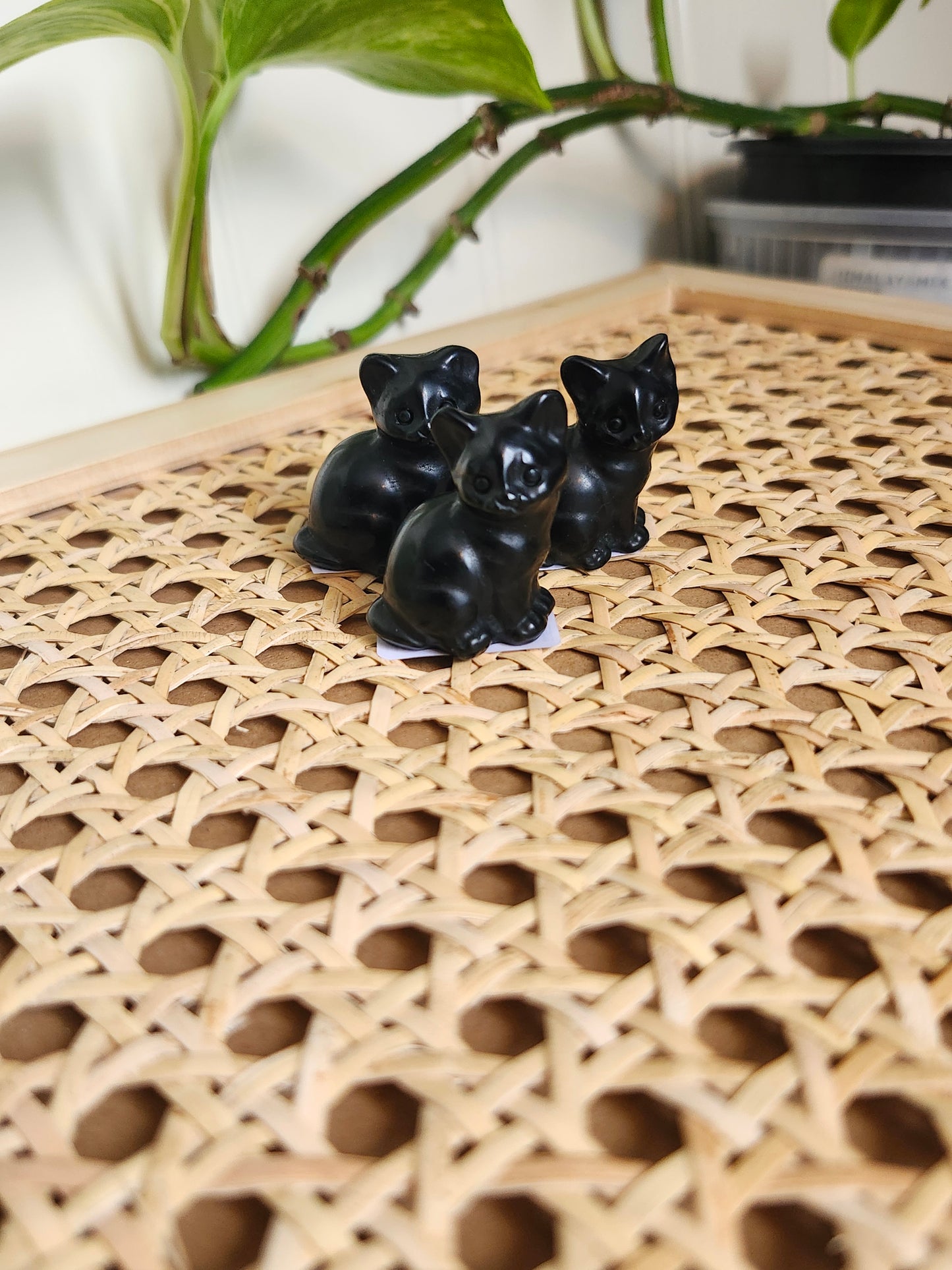 OBSIDIAN CAT