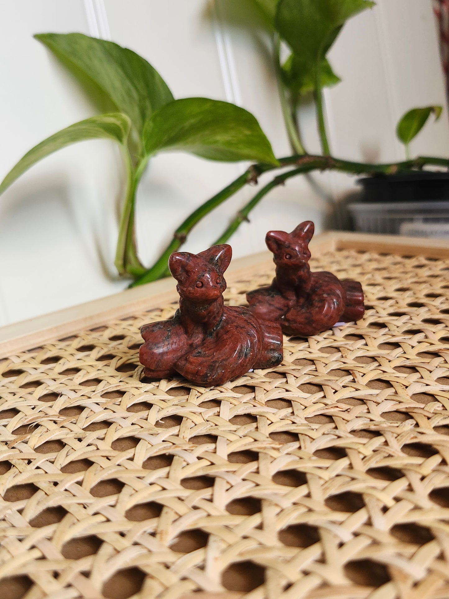 MAHOGANY OBSIDIAN FOX