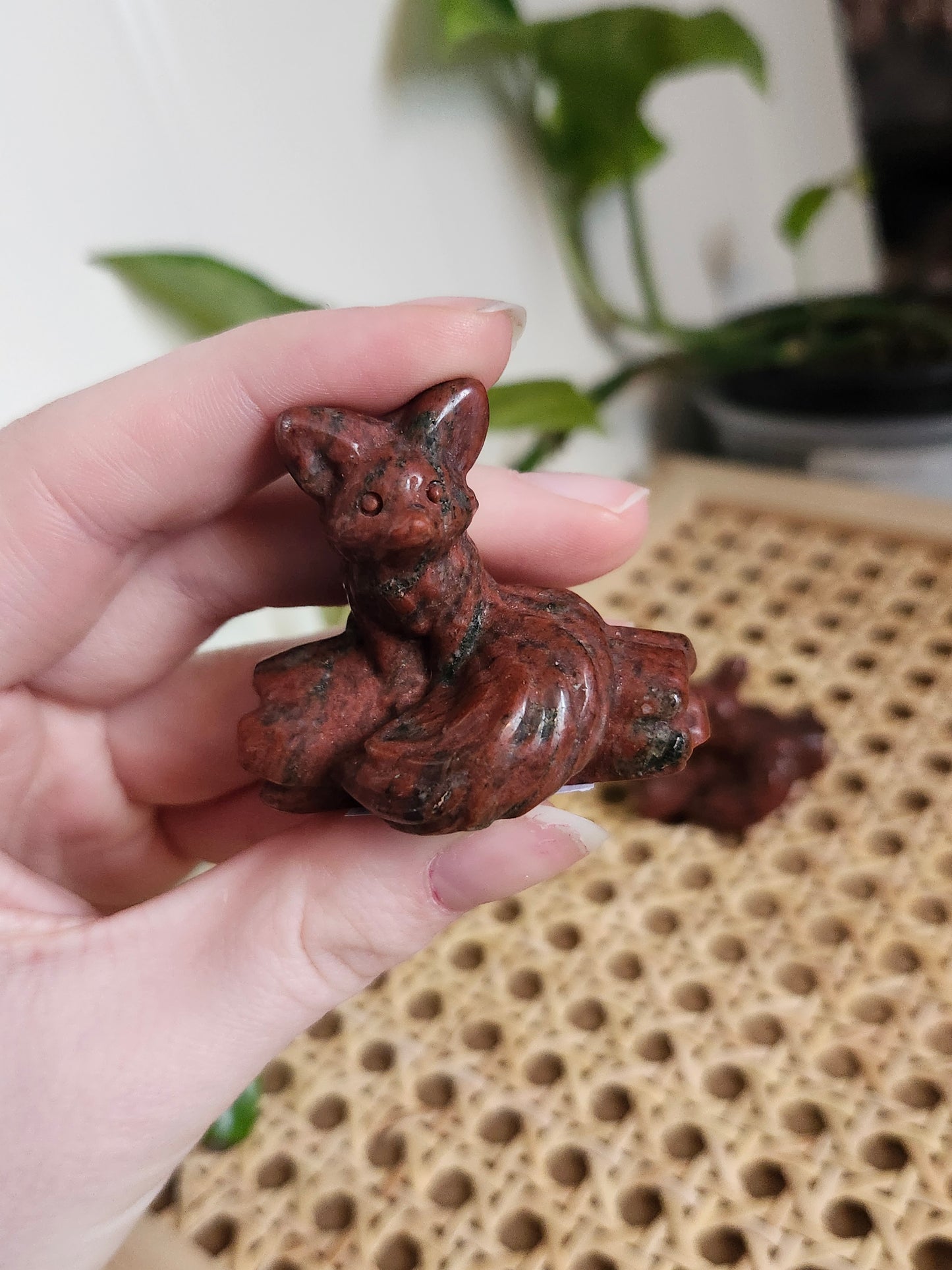 MAHOGANY OBSIDIAN FOX