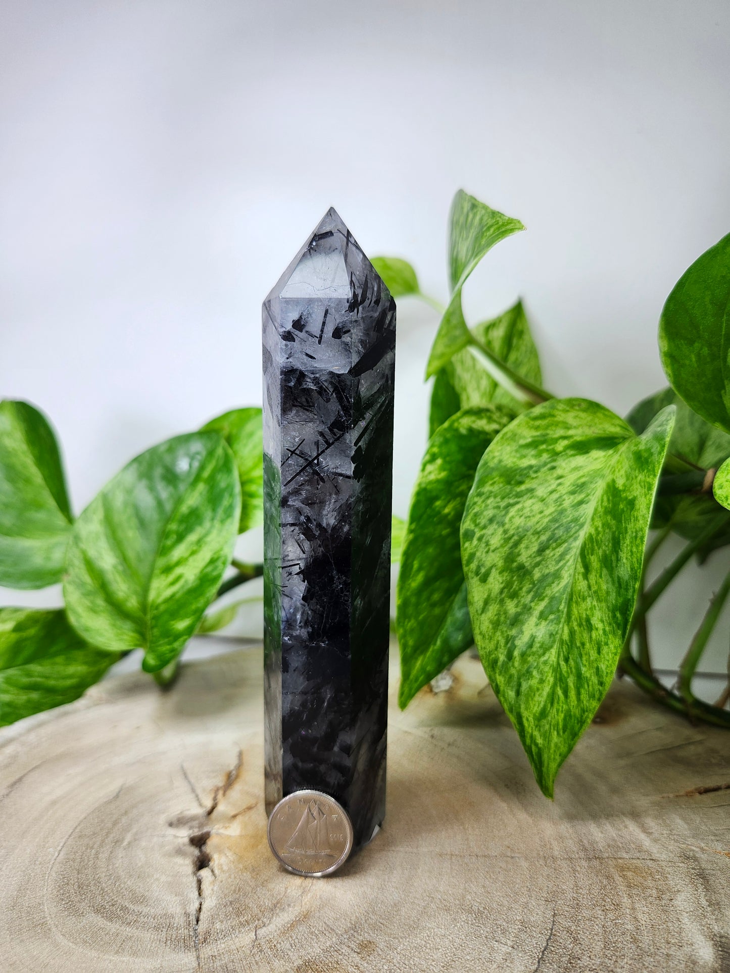 BLACK TOURMALINE TOWER