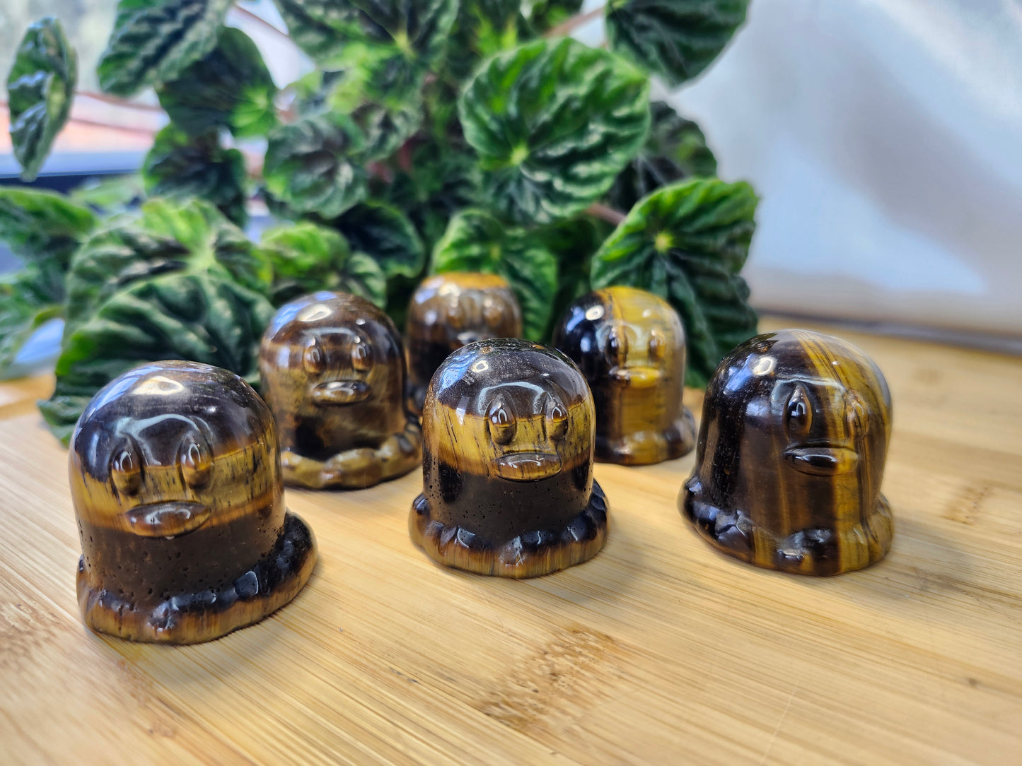TIGER'S EYE DIGLET