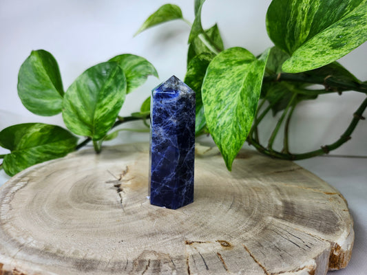 SODALITE TOWER (uv REACTIVE)