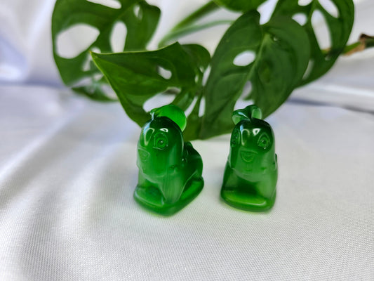 GREEN CAT'S EYE CHIKORITA