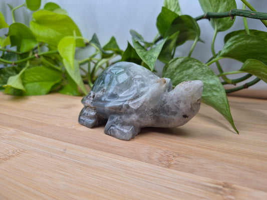 FEATHER FLUORITE TURTLE