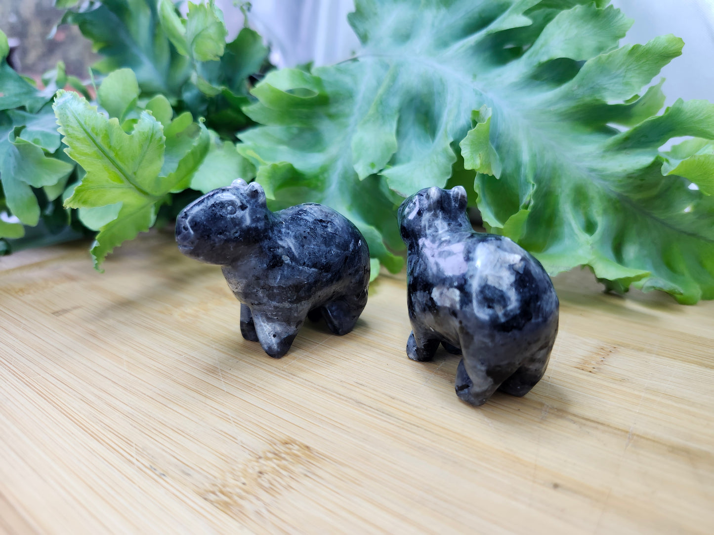 LARVAKITE CAPYBARA