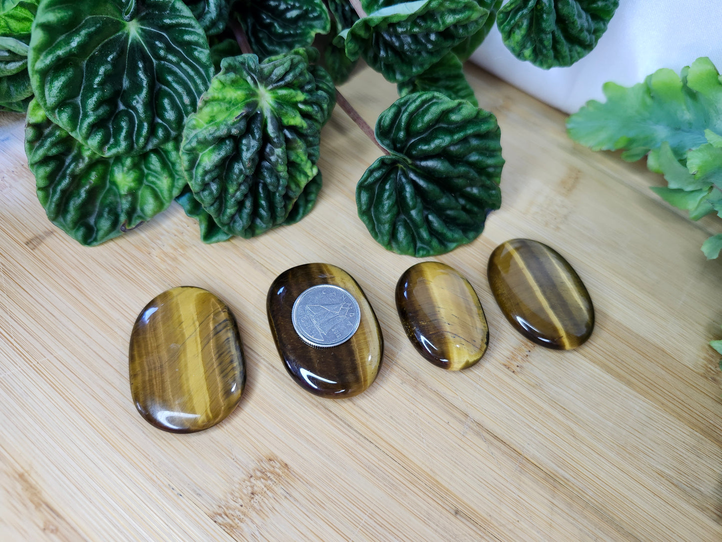 TIGER'S EYE FLAT STONE