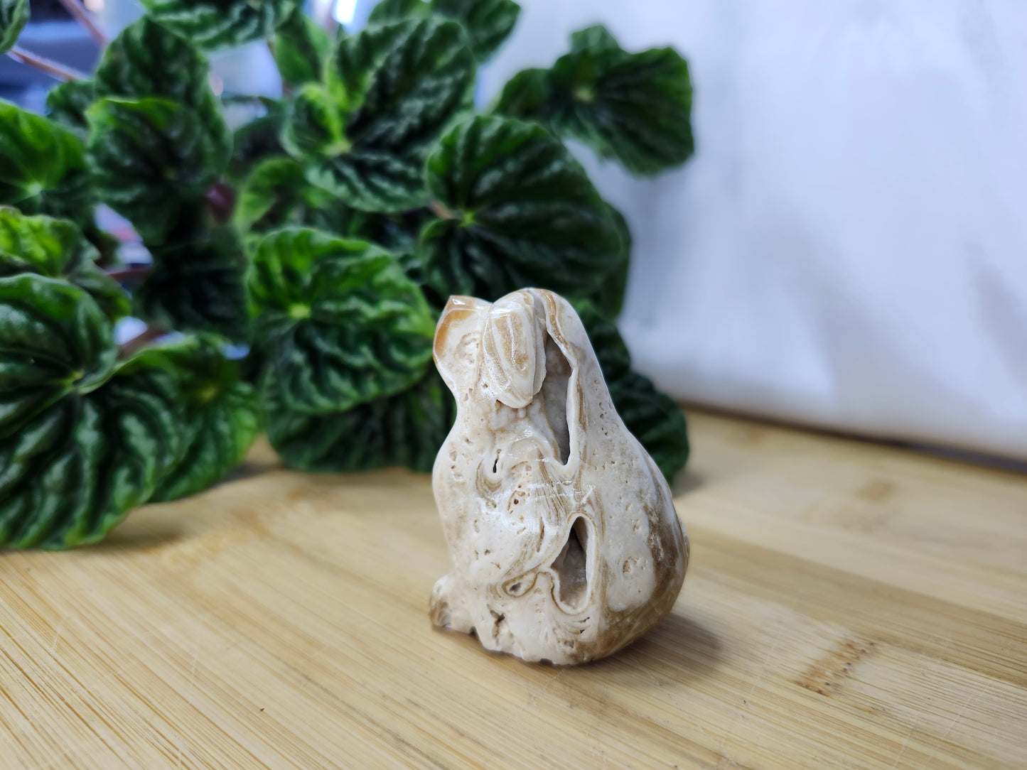 CHOCOLATE CALCITE DOG