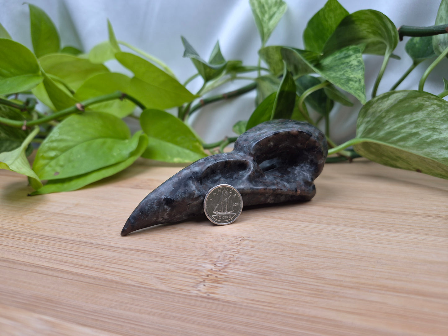 YOOPERLITE BIRD SKULL LARGE