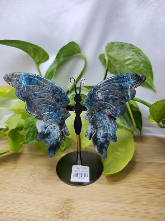 BLUE APATITE BUTTERFLY WINGS