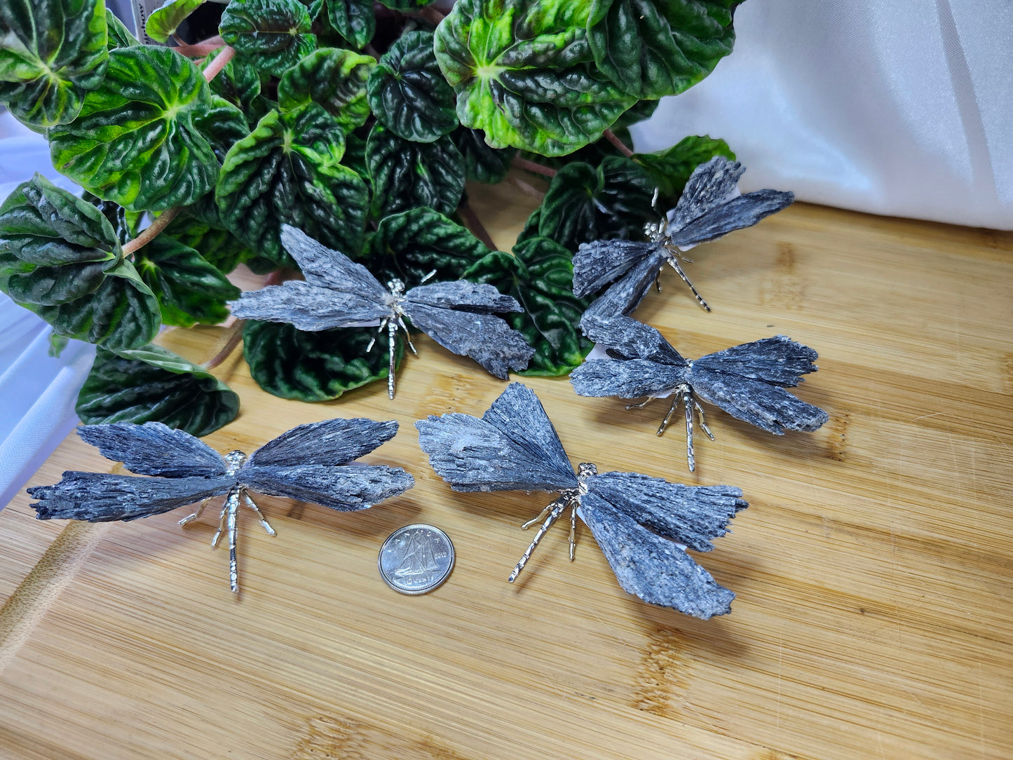 BLACK KYANITE DRAGONFLY SM