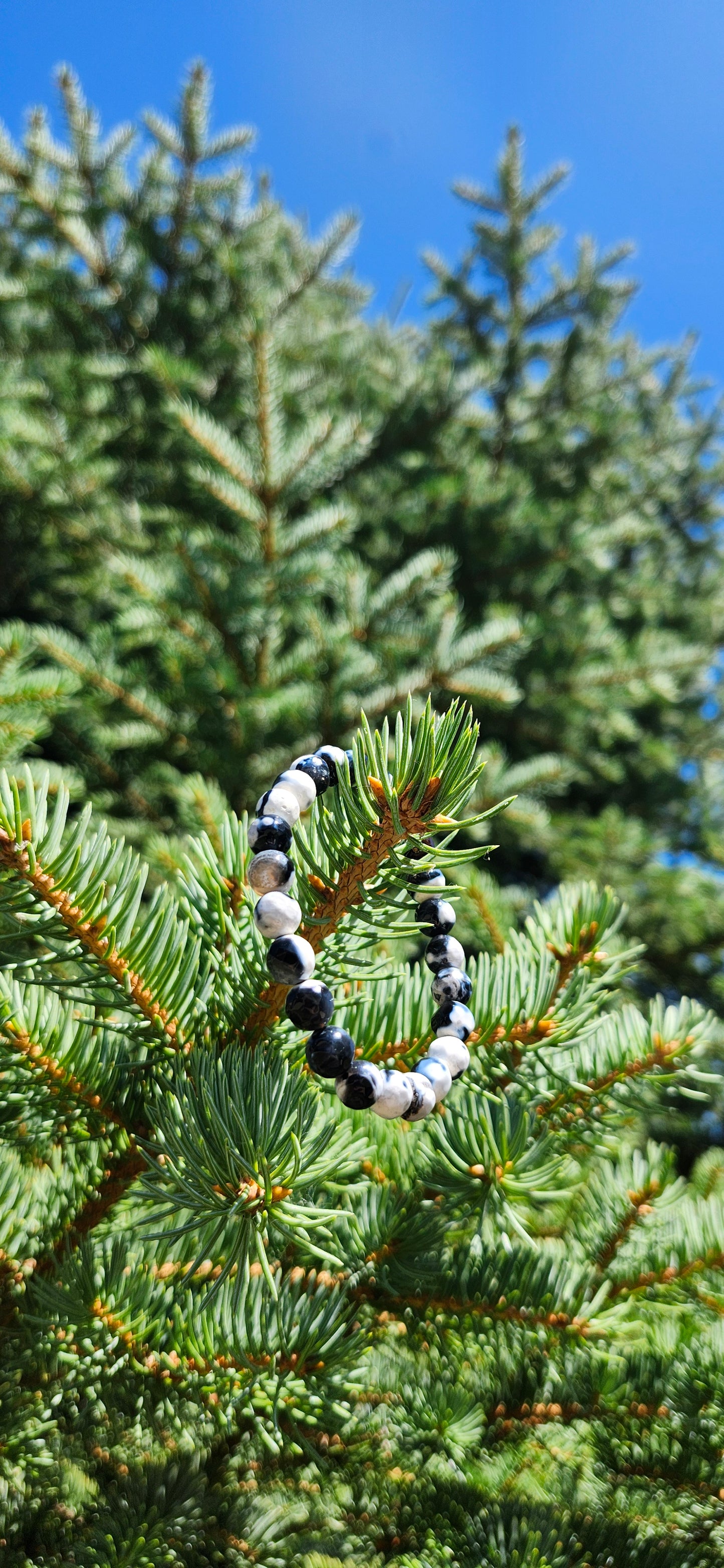 8mm ORCA AGATE BRACELET