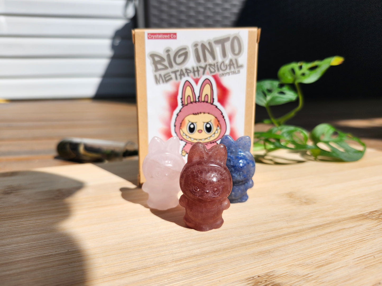 BIG INTO METAPHYSICAL LABUBU BLIND BOX