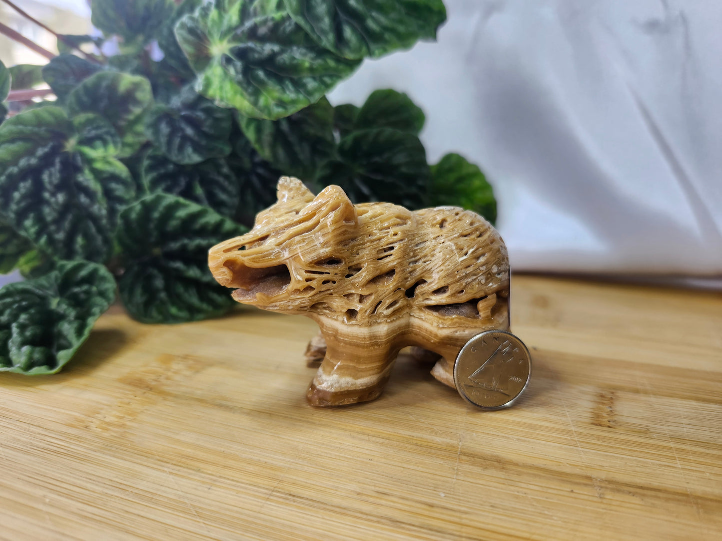 CHOCOLATE CALCITE BEAR