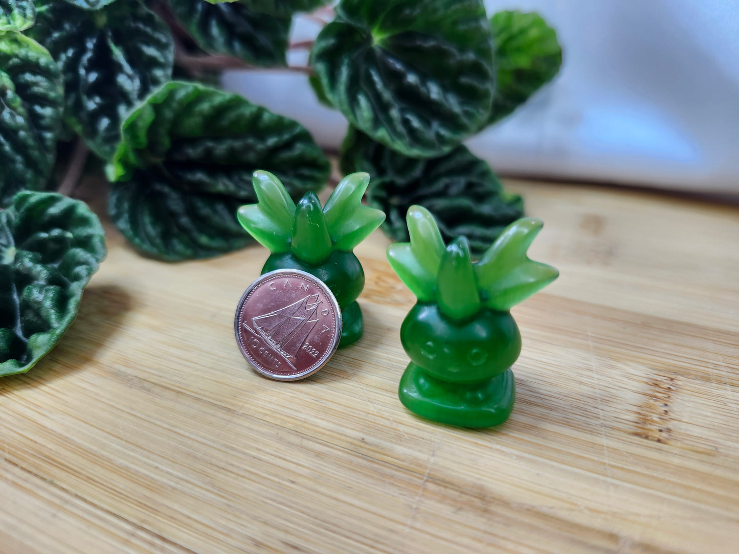 CATS EYE POKEMON CARVINGS