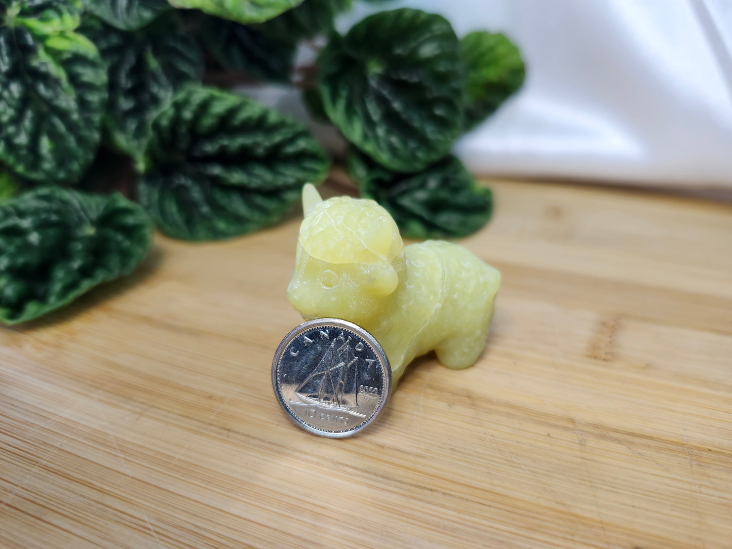 LEMON JADE HIGHLAND COW