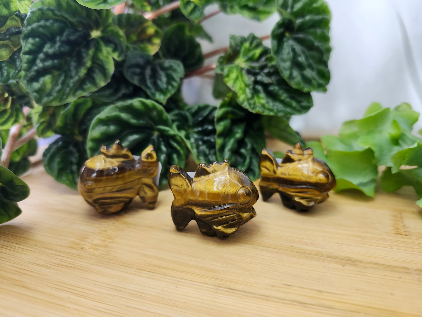 TIGER'S EYE MAGIKARP