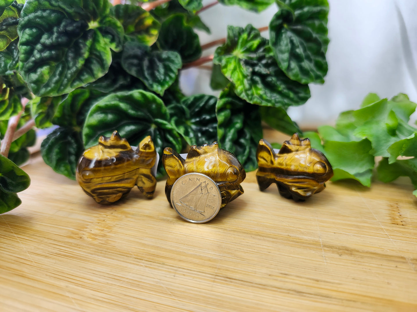 TIGER'S EYE MAGIKARP