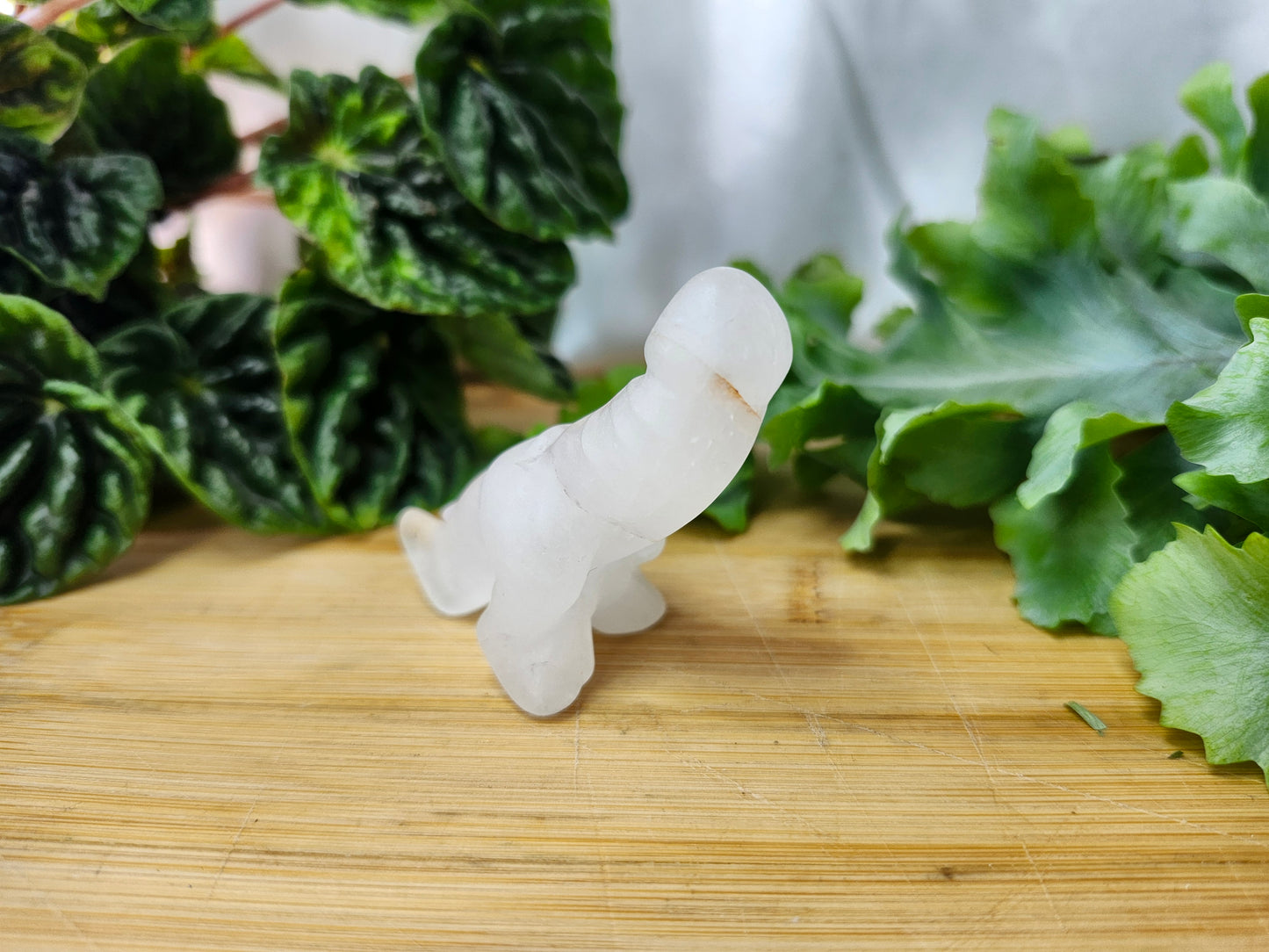 QUARTZ DICK-A-SAURUS