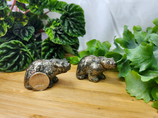 PYRITE BEAR