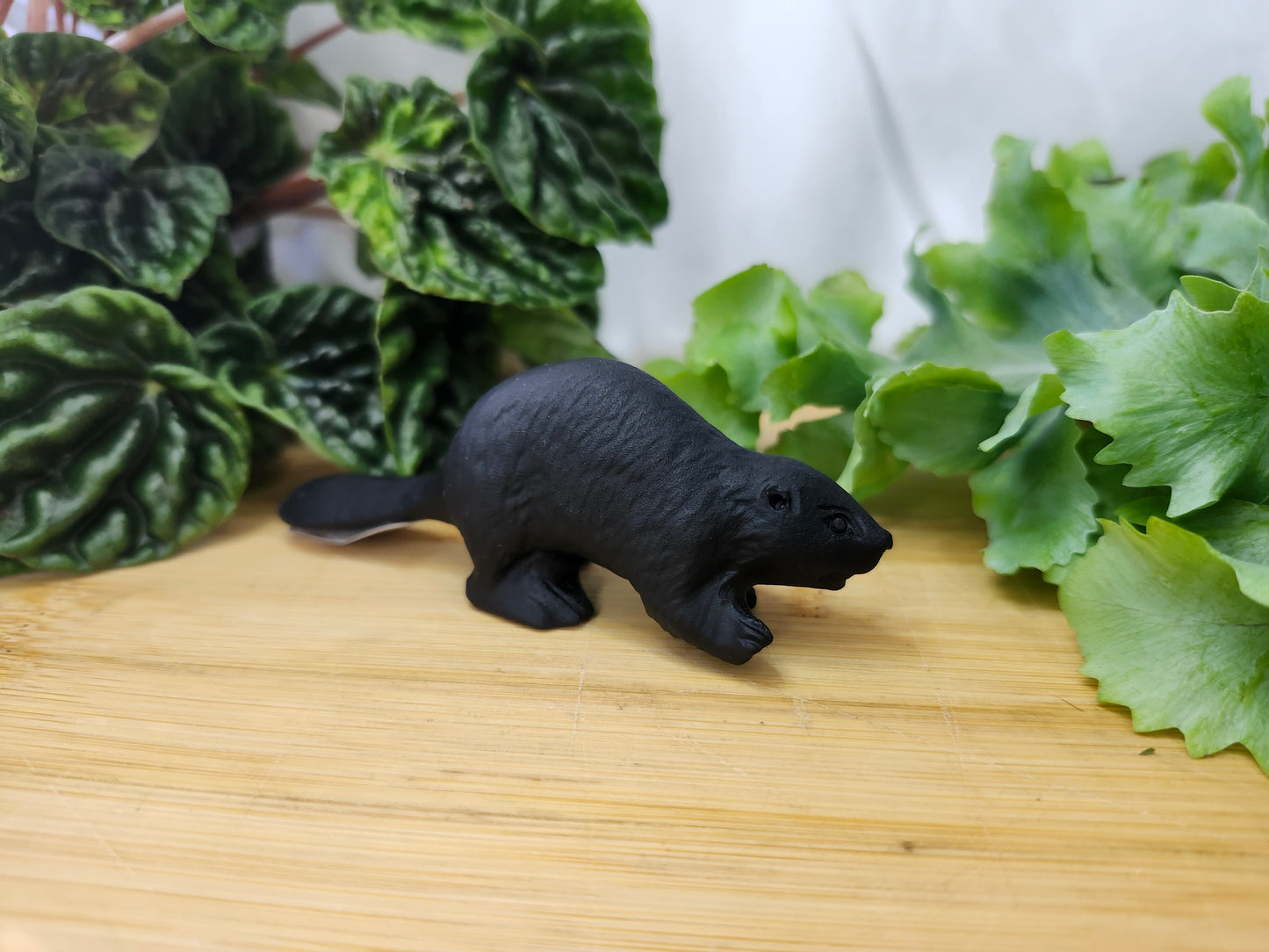 OBSIDIAN BEAVER