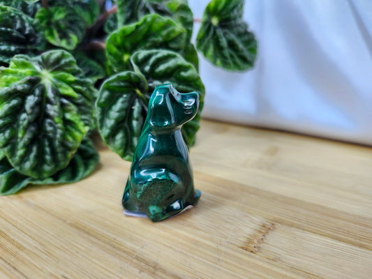 MALACHITE DOG