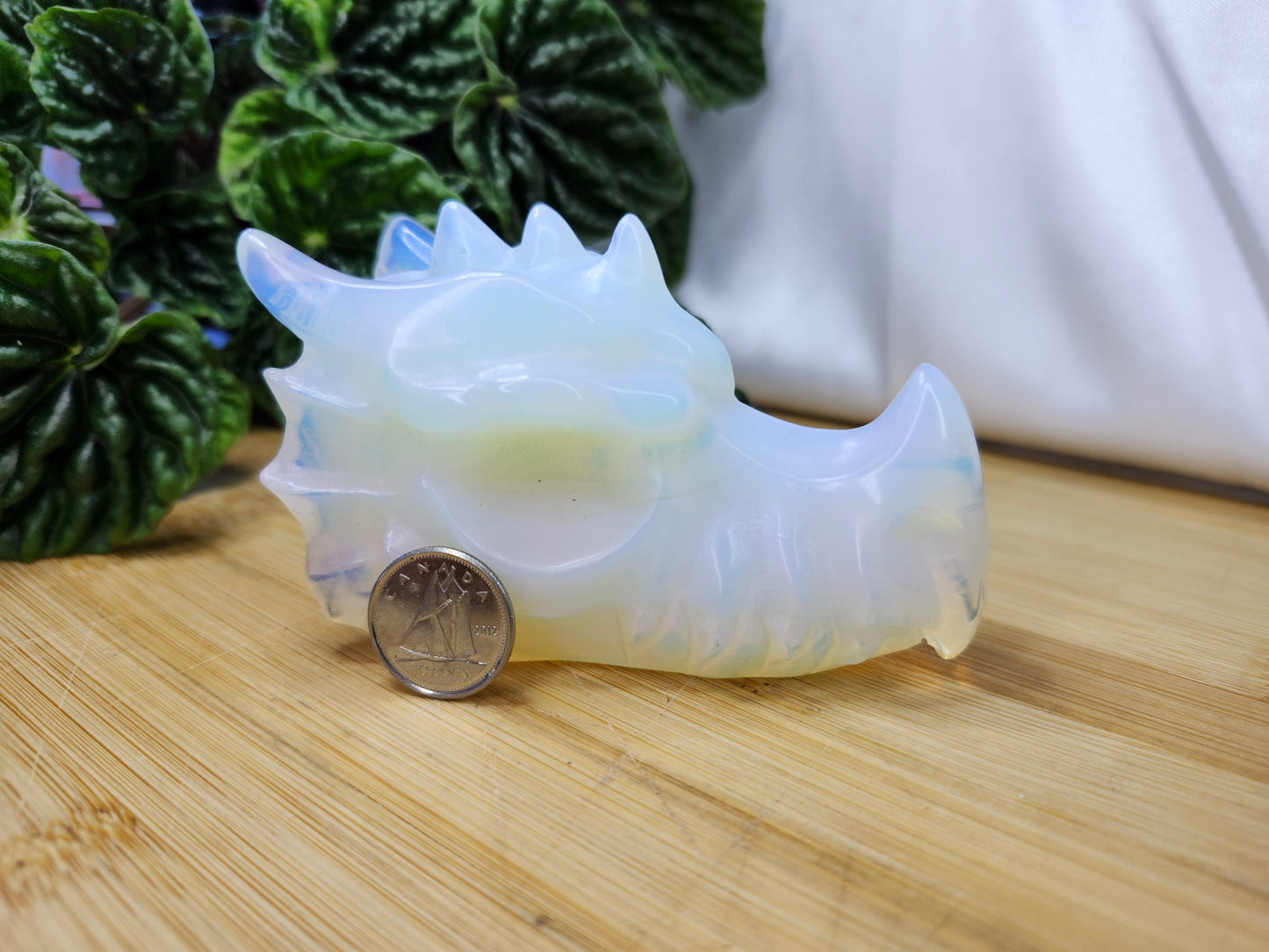 OPALITE DRAGON HEAD