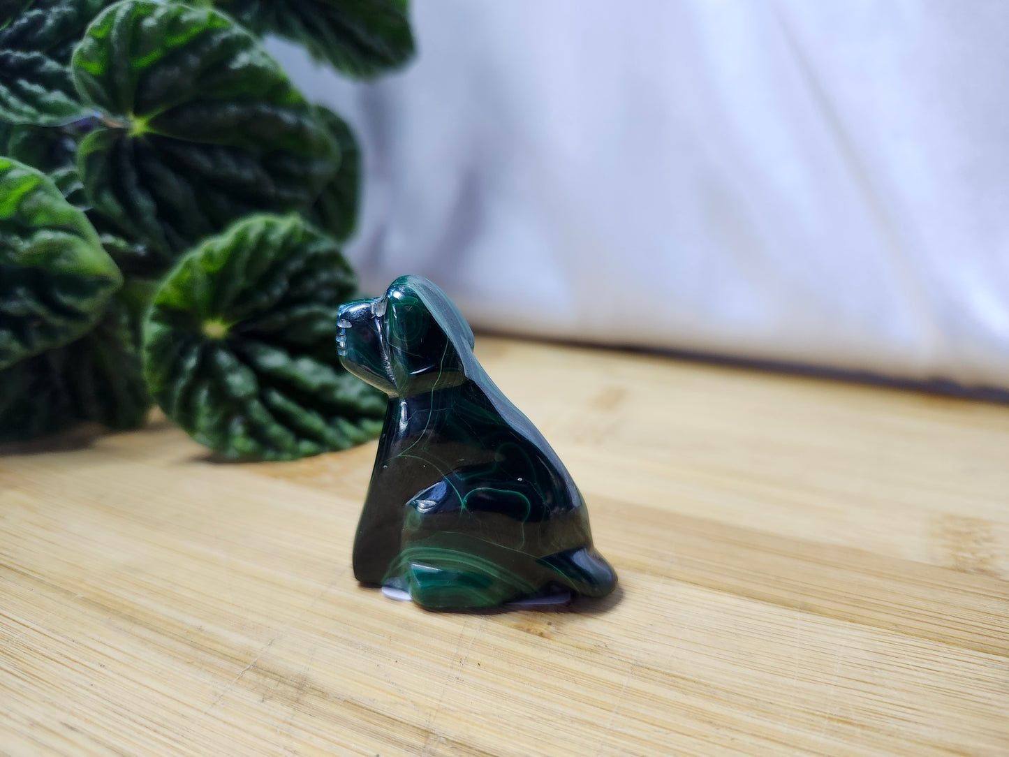 MALACHITE DOG