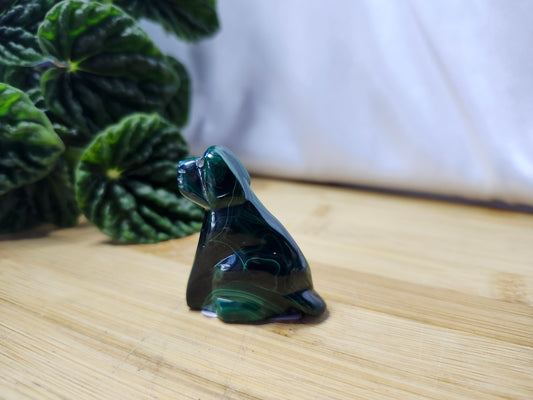 MALACHITE DOG