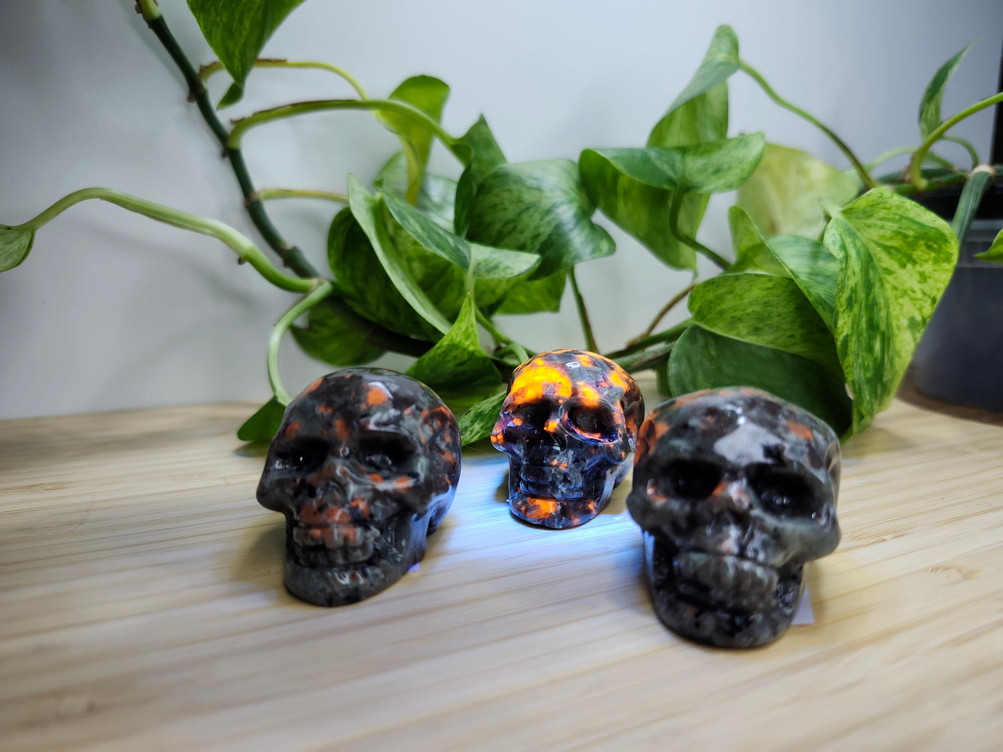 YOOPERLITE SKULL