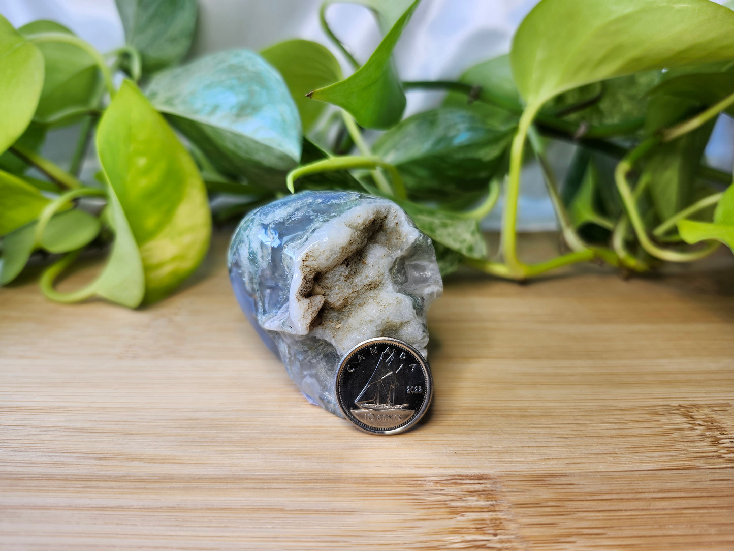 MOSS AGATE SKULL