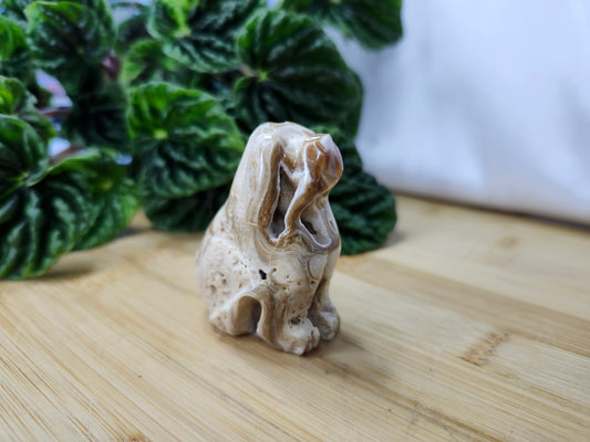 CHOCOLATE CALCITE DOG