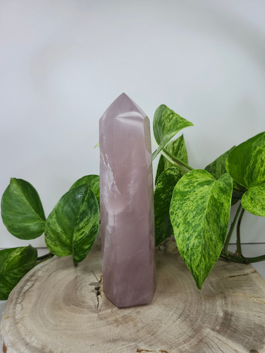 ROSE QUARTZ TOWER