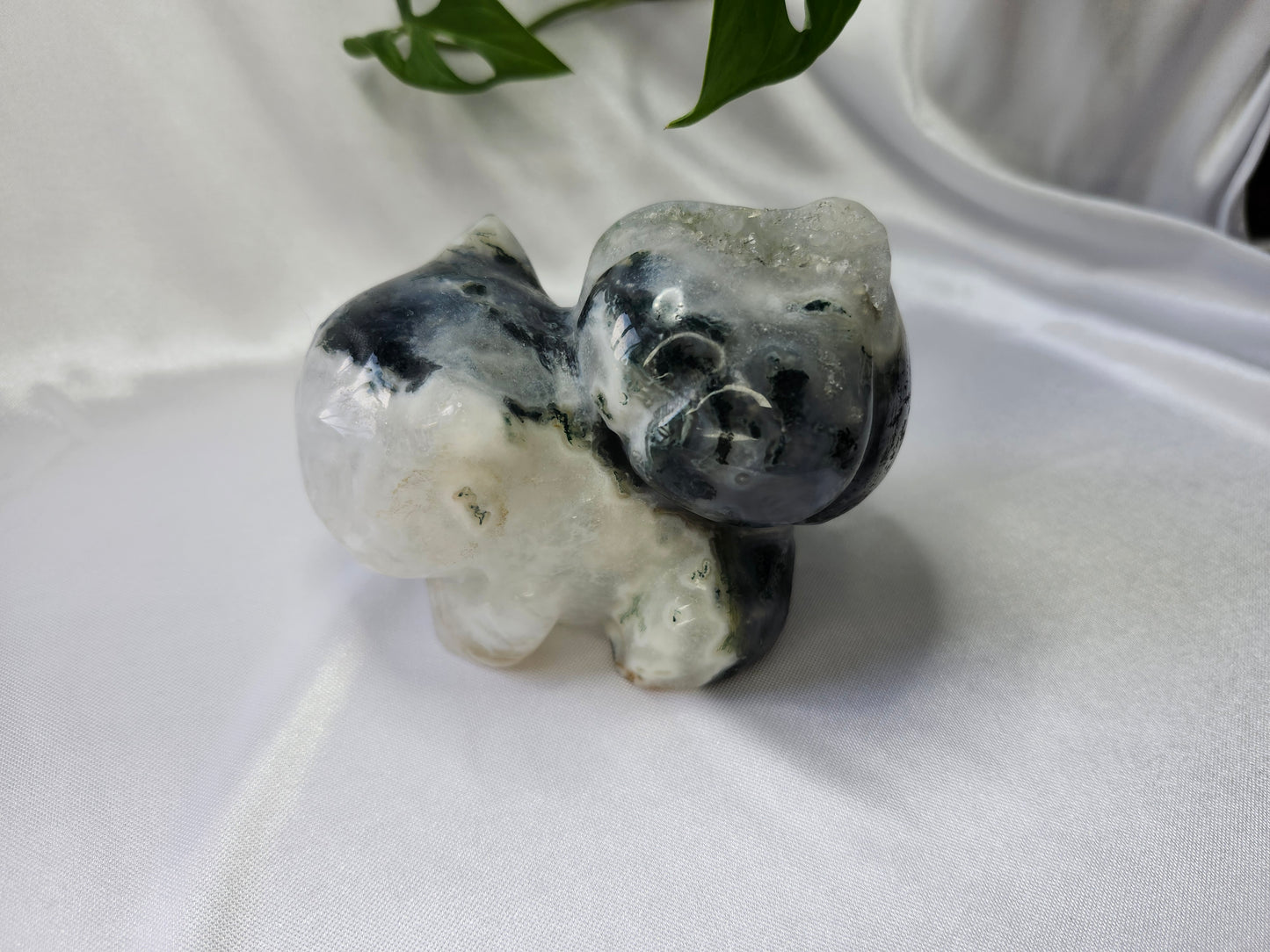 MOSS AGATE XL BULBASAUR (A)