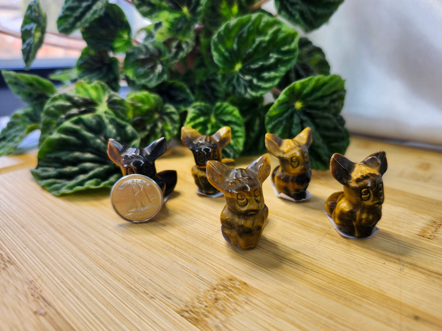 TIGER'S EYE EEVEE