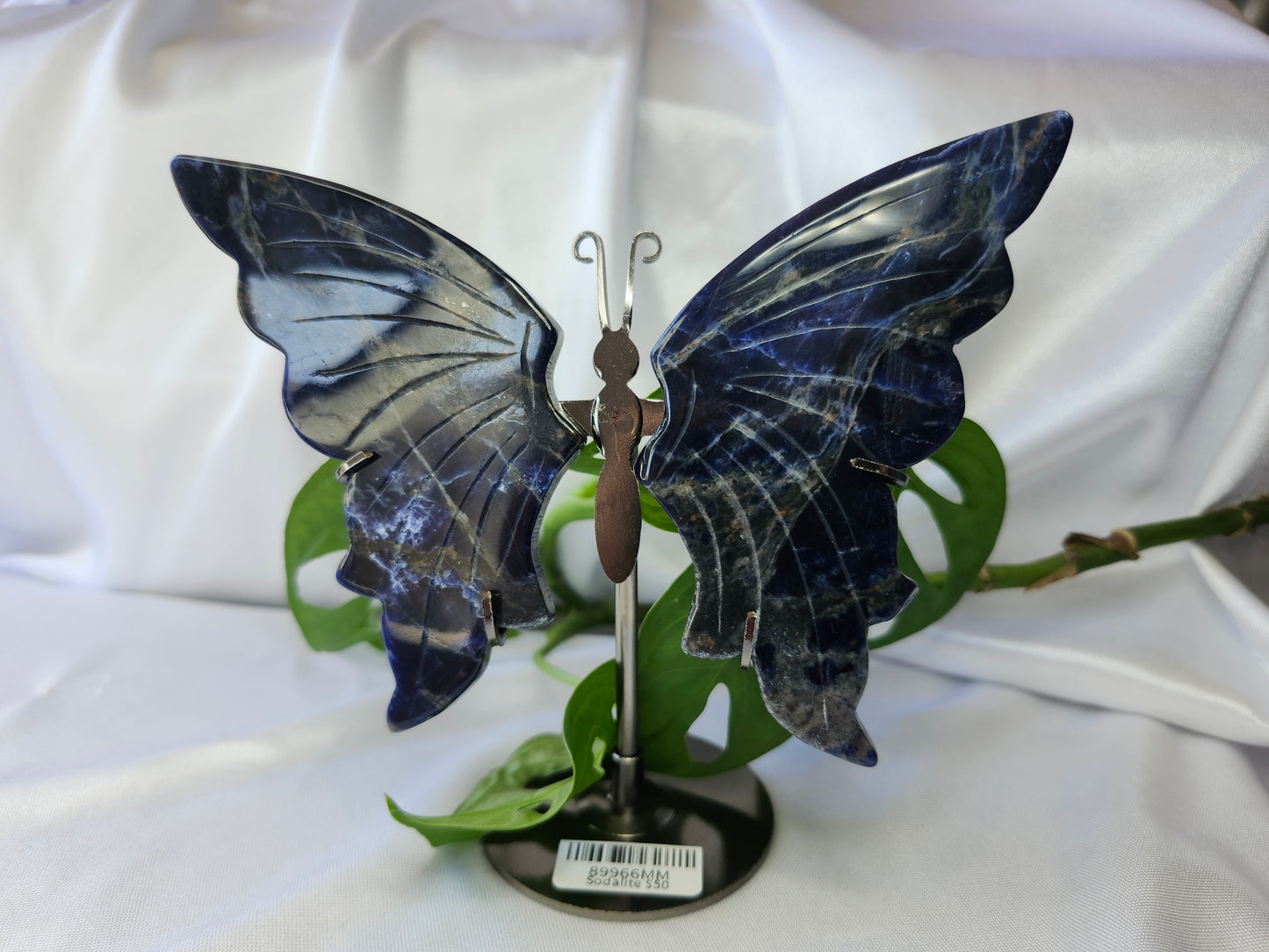 SODALITE BUTTERFLY WINGS (B)