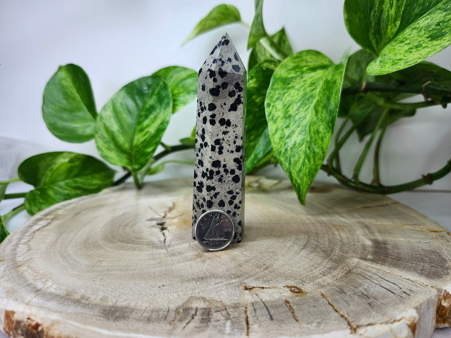 DALMATION JASPER TOWER