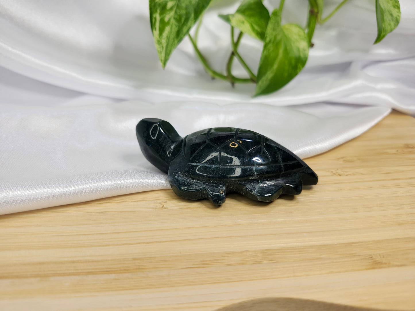 MOSS AGATE SEA TURTLE