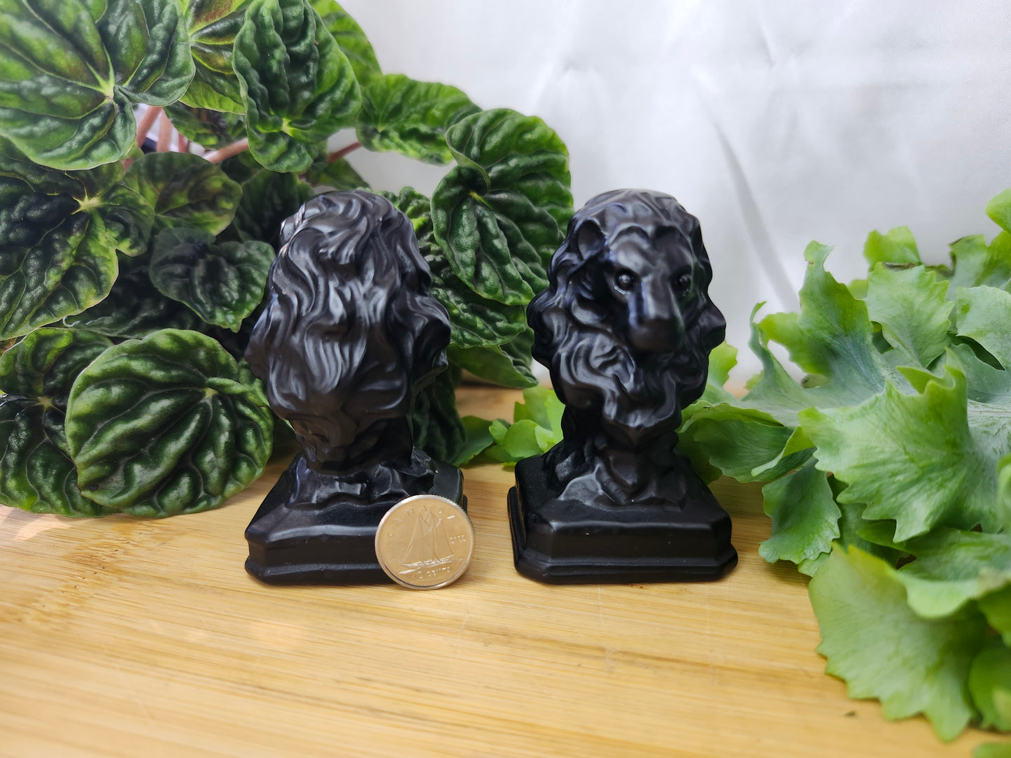 OBSIDIAN LION