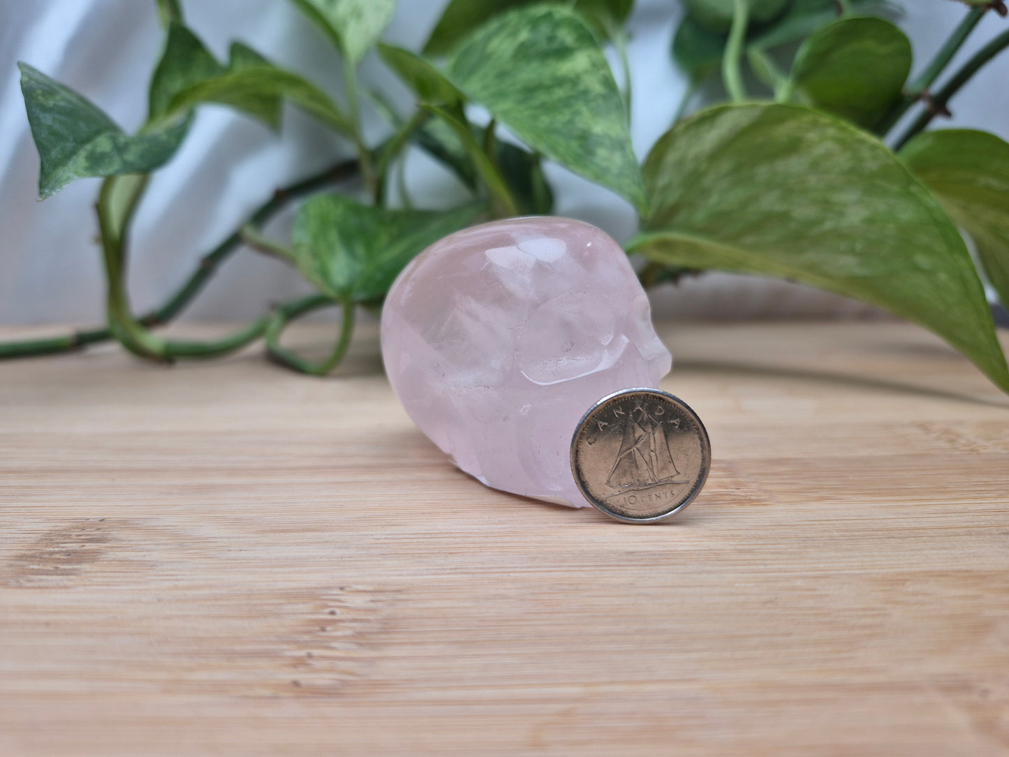 ROSE QUARTZ SKULL