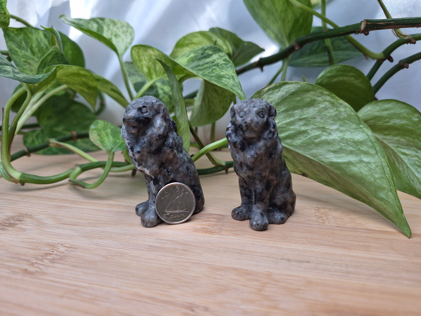 YOOPERLITE SITTING LION