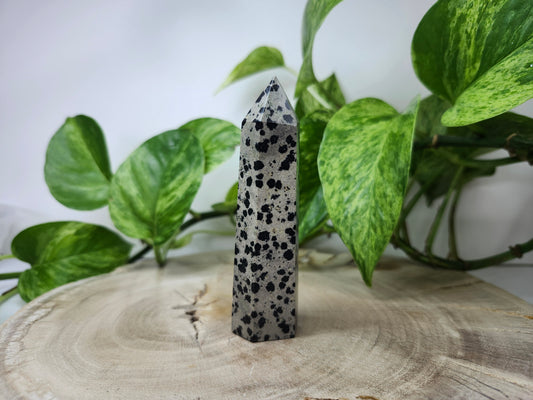 DALMATION JASPER TOWER